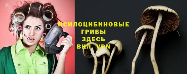героин Богородицк
