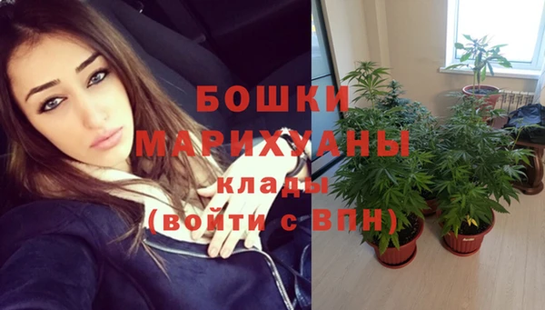 эйфоретик Богданович