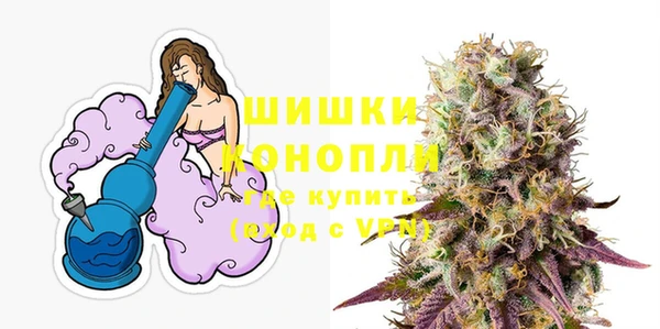 эйфоретик Богданович