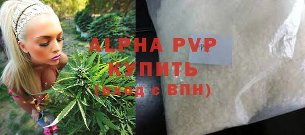 эйфоретик Богданович