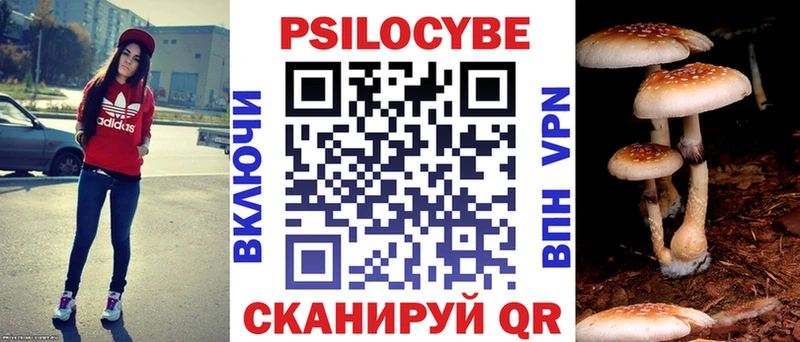 Псилоцибиновые грибы Cubensis  дарк нет формула  Дагестанские Огни 