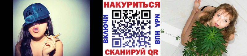 Бошки марихуана план Дагестанские Огни
